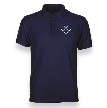 Faraday Automobile Polo